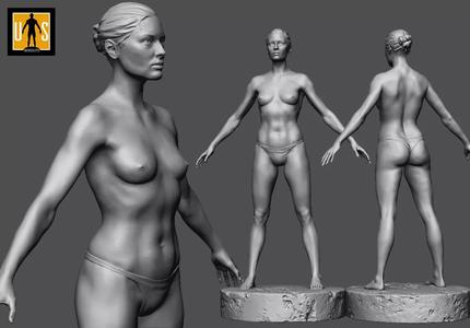 female anatomy study