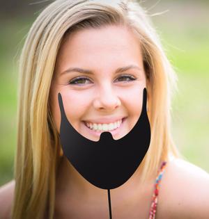Beard stick