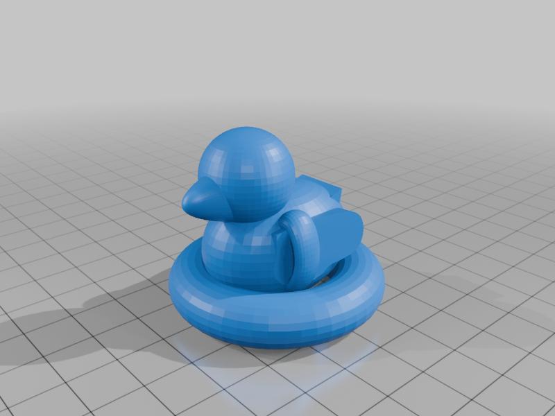 duck with floaties