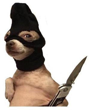 PerroLadrón