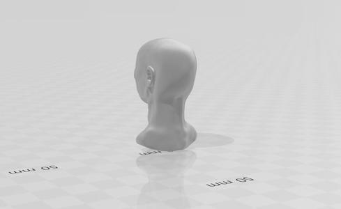 basic head 2