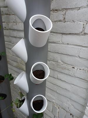 Tube for vertical strawberry garden