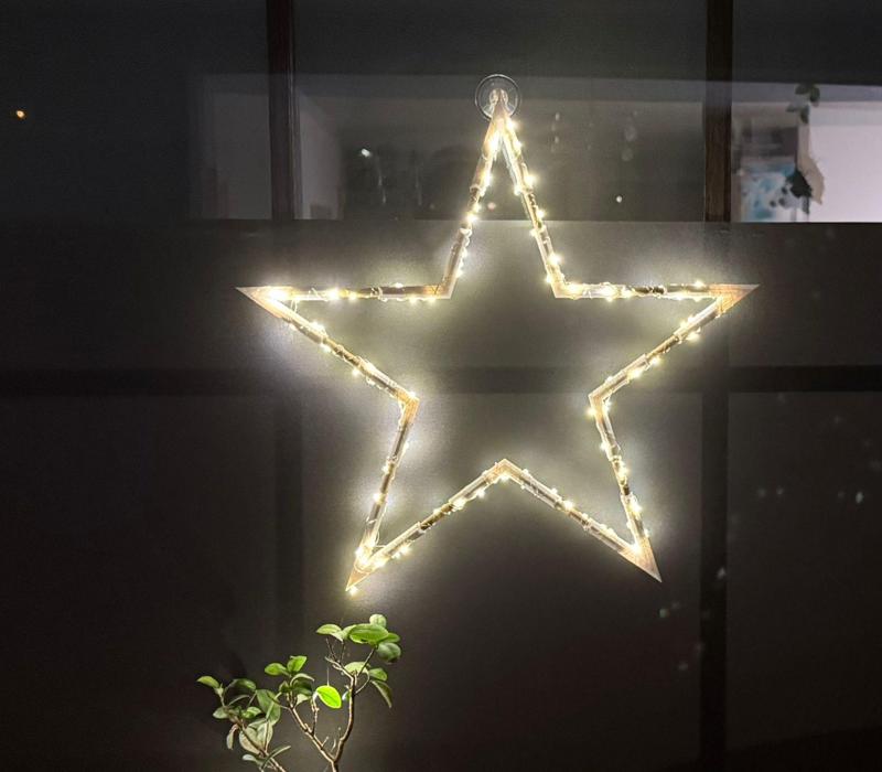 Einzigartige Weihnachtsstern  | Unique Christmasstar