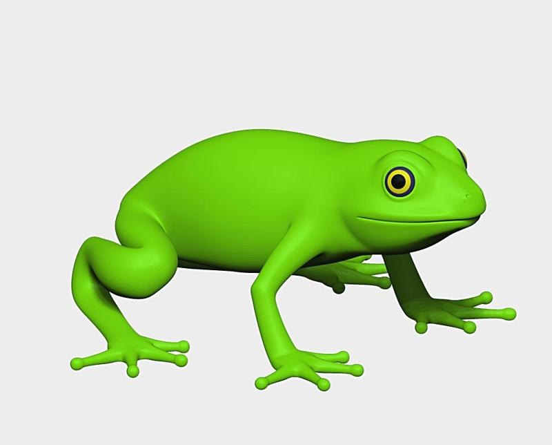 frog