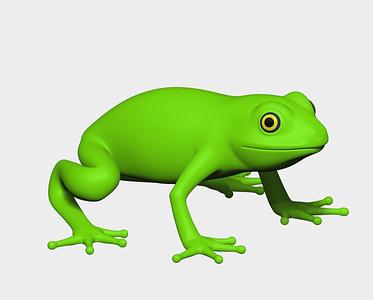 frog