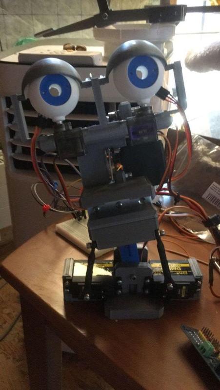 P1X Beginner animatronic Head