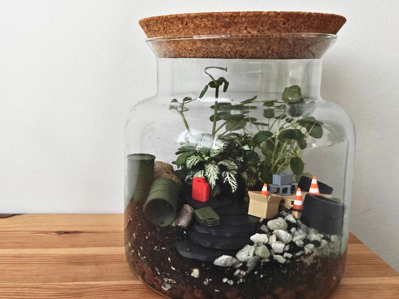 Junkyard Terrarium