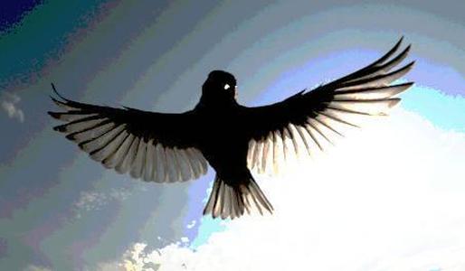 hovering bird lithophane