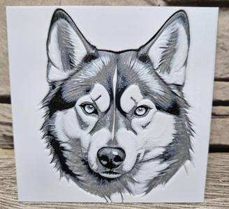 Husky in HueForge Black and White