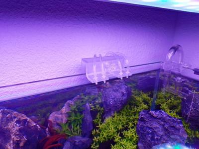 Chihiros Dose Tube Holder Support for 6mm glass