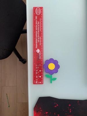 Cute Flower