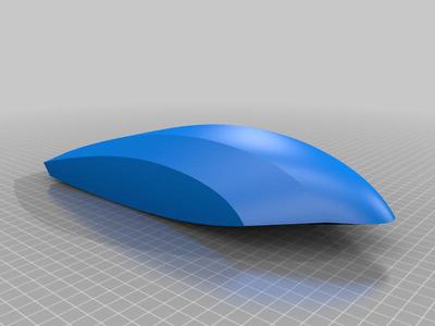 Blended Wing Plane (WIP)