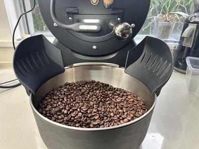 Aillio Bullet Bean Deflector