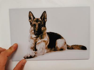 German Shepherd wall art