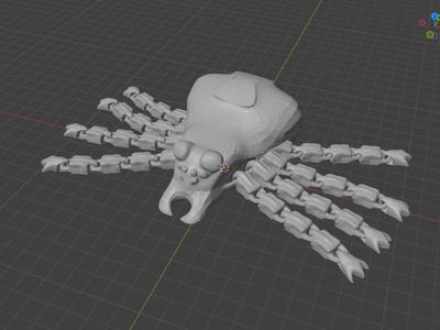 Floppy-Leg Spider