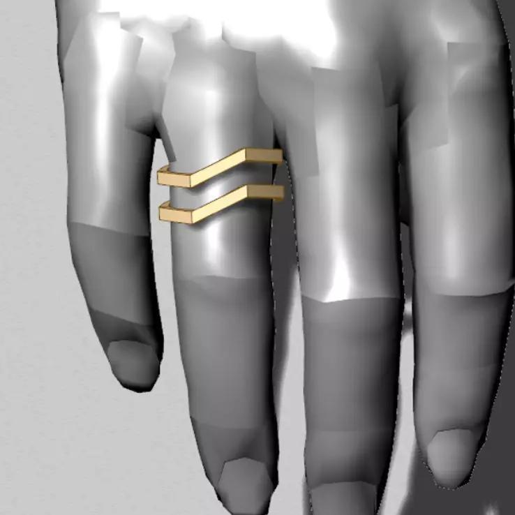 Twins Geometric Ring