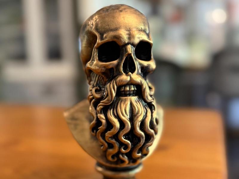 Bearded Skull Bust