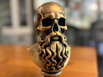 Bearded Skull Bust
