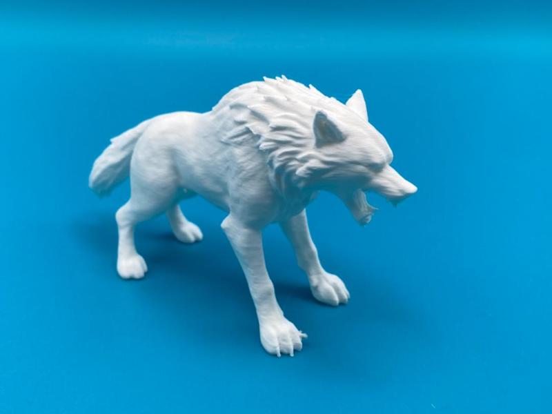 Wolf