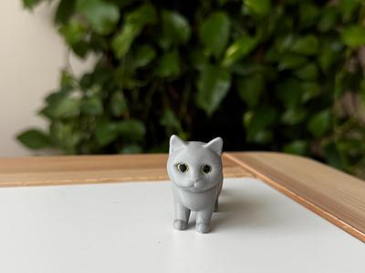 British cat