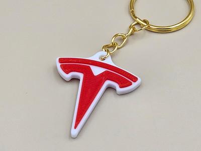 Tesla keychain