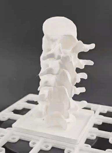 Gridfinity Articulating Lumbar Spine