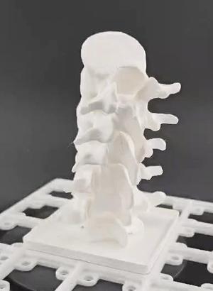 Gridfinity Articulating Lumbar Spine