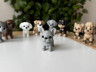 French Bulldog puppy