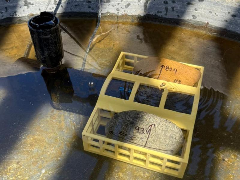 Dog Pool Pump Weight Basket