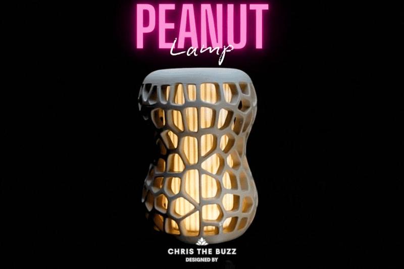 "Peanut" Lamp – Organic Glow, Modern Design
