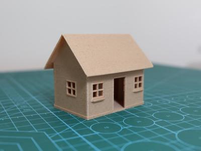 Miniature House