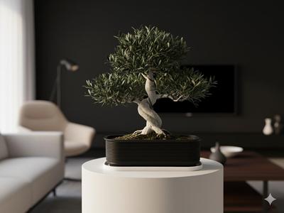 Elegant Bonsai
