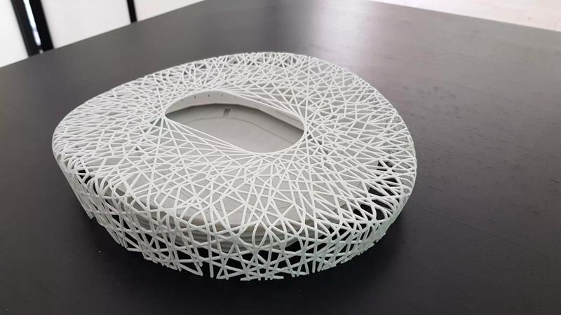 Beijing national stadium Premium edition