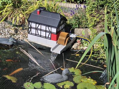 Cottage