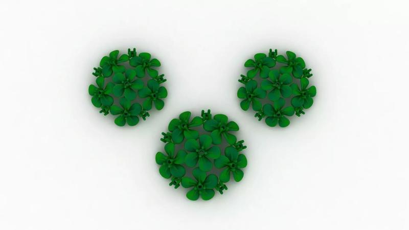 flower pendant set locket set