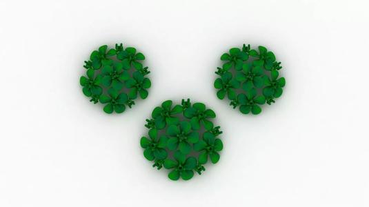 flower pendant set locket set