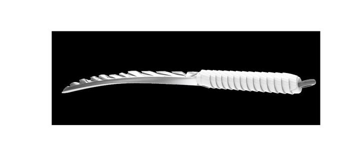 Katana type Inosuke