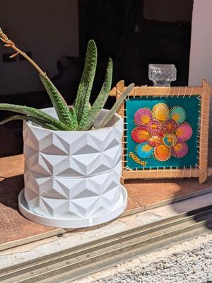 Poligonal Planter with plate (medium)
