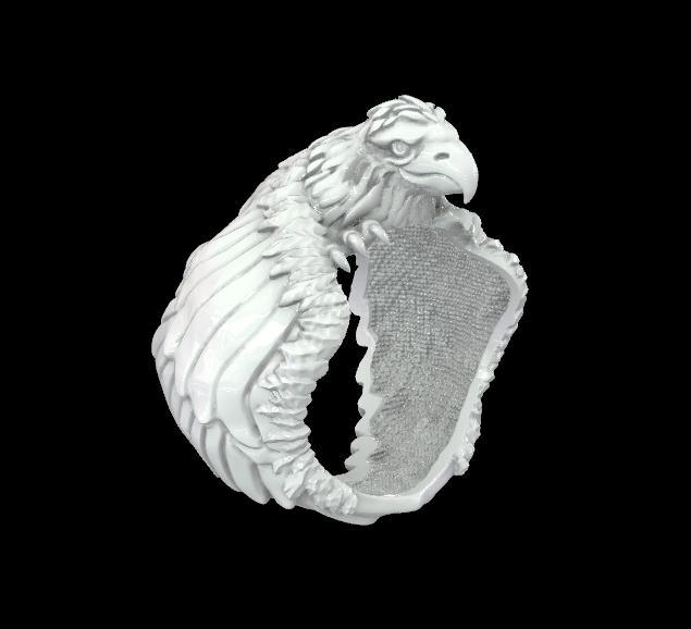 Hawk Animal Freedom Fly Bird Ring