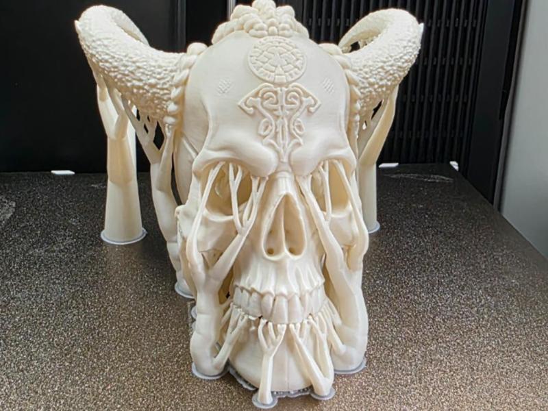 Fantasy Viking Skull