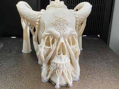Fantasy Viking Skull