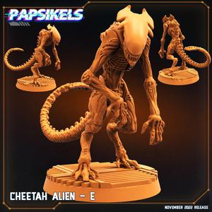 CHEETAH ALIEN - F