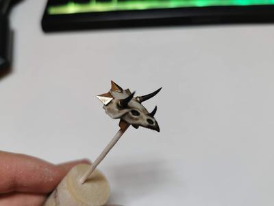 Ceremonial Triceratops Skull