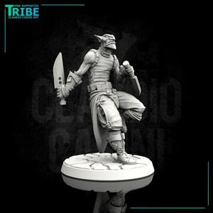 (0020) Male human tiefling elf hobgoblin thief with knives