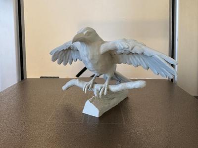 Bird with open wings