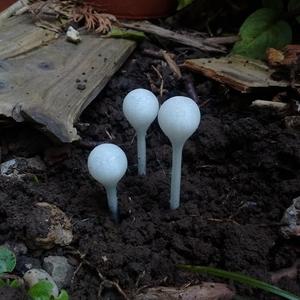Alien garden - Floating dew drops