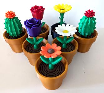 Spring flowers
