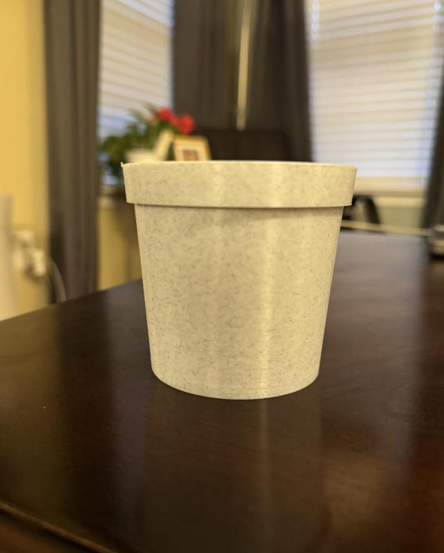 Toothpick Cactus Pot