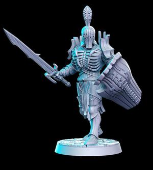Amladril with sword and shield (elven deathknight)- 32mm - DnD