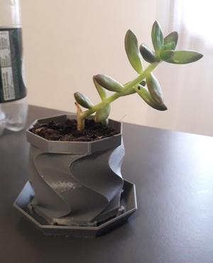 Vase for flowers